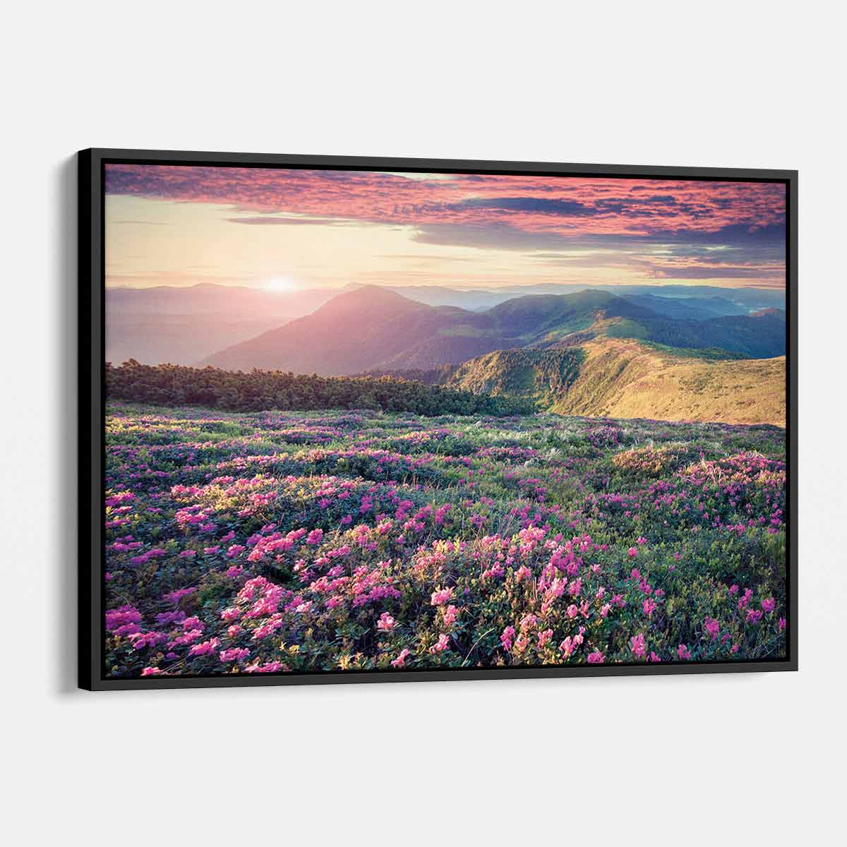 Pink Rhododendron Field Wall Art Canvas Print - Floral Home Decor for Living Room, Bedroom & Office - 6203