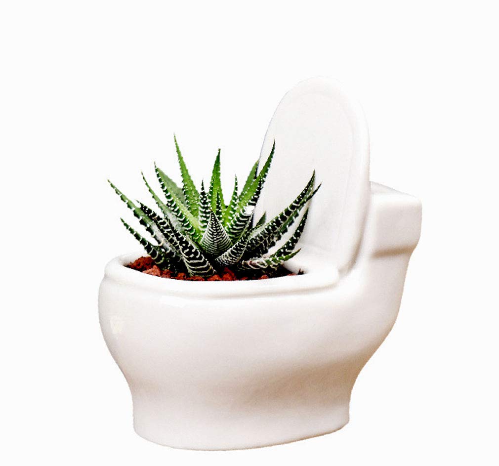 White Ceramic Planter Pot - 4.6