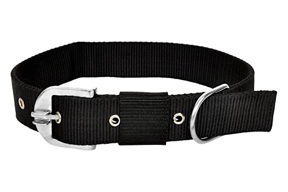 Durable Heavy Duty Nylon Dog Collar with Adjustable Buckle - X-Small Black Pet Training Collar for Walking, Playing & Puppy Obedience Training | Toms Pet Mall