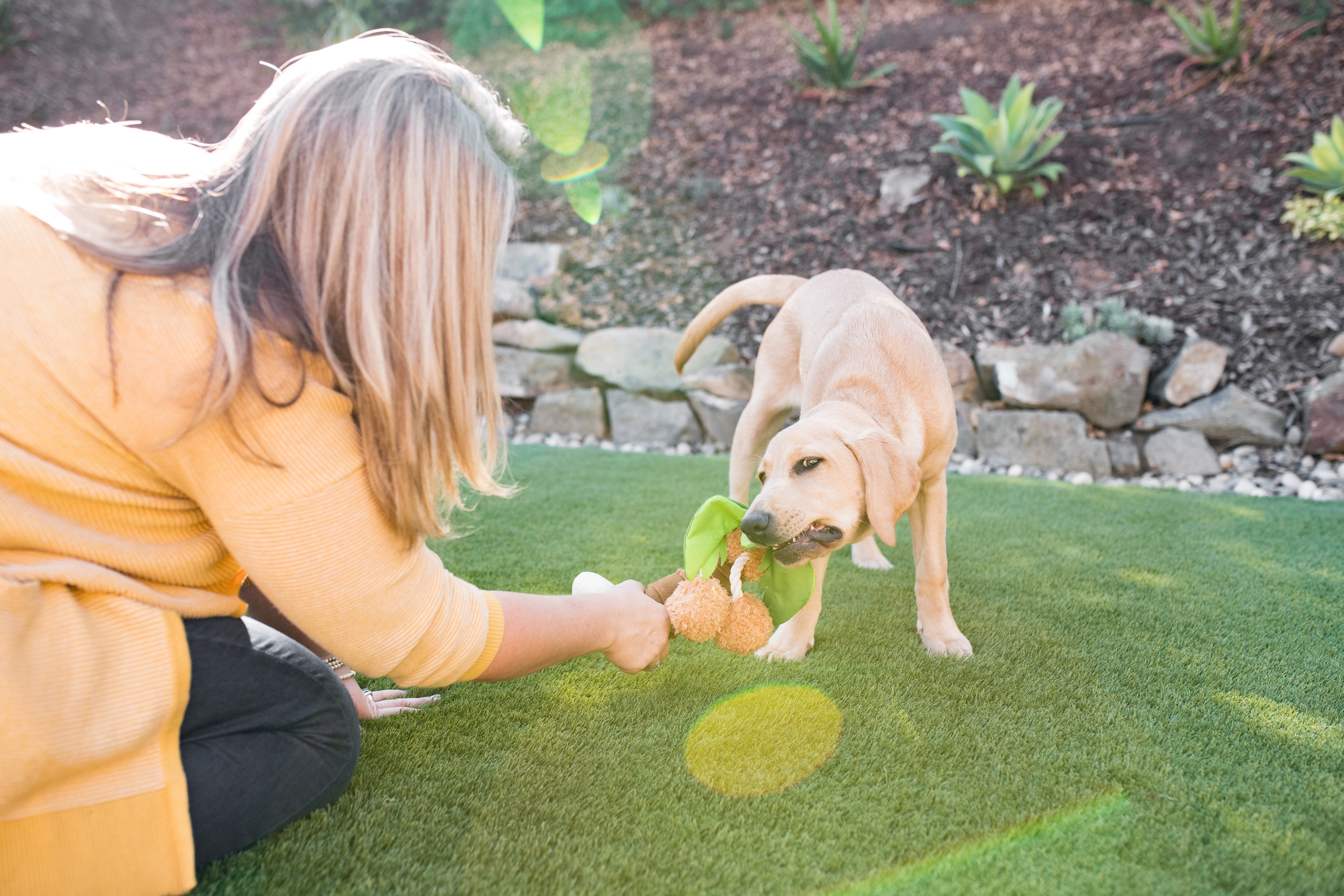 Tropical Paradise™ Dog Plush Toy - La Palma Soft Chew Toy for Dogs | Durable & Safe Pet Play | Perfect for Indoor & Outdoor Playtime
