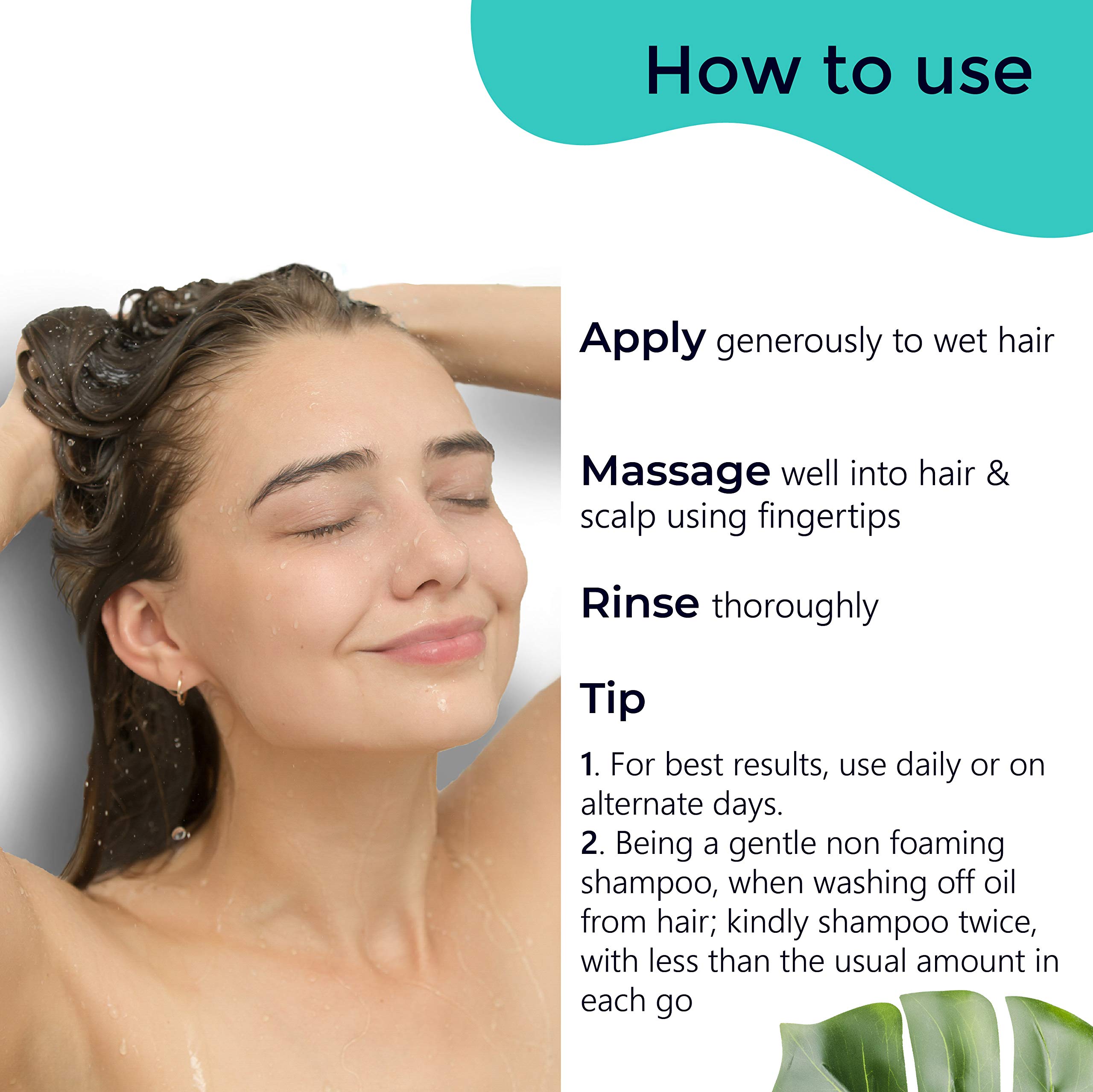 Pilgrim Sulfate-Free Shampoo with Argan Oil for Dry & Frizzy Hair - No Paraben, Korean Beauty Secret - Gentle Cleansing for Men & Women - Perfect for Daily Hair Care & Sensitive Scalp