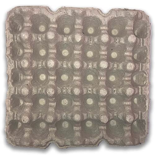200 Pack Paper Egg Tray - 20 Cell Egg Carton for Fresh Eggs Storage | Perfect for Farmers Markets, Grocery Stores & Home Kitchen Organization