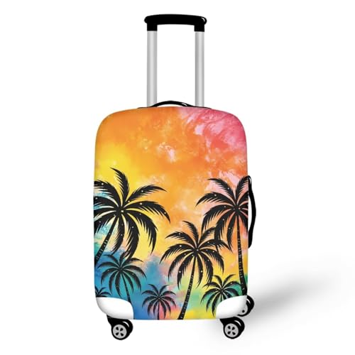 A Beach Tropical Palm Tree