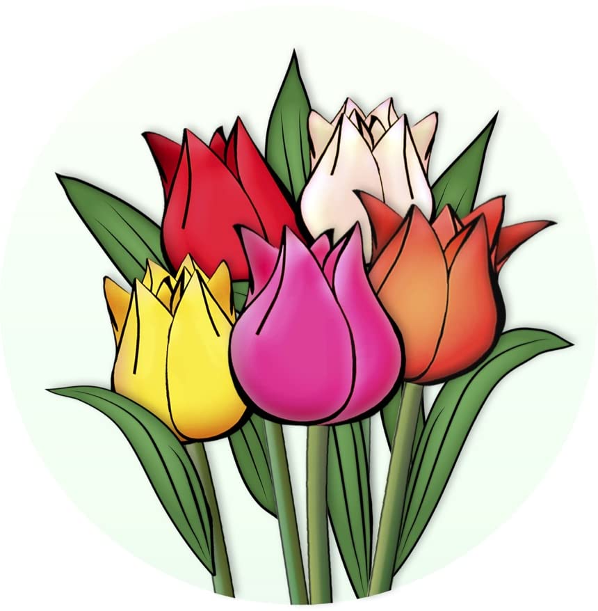Tulips