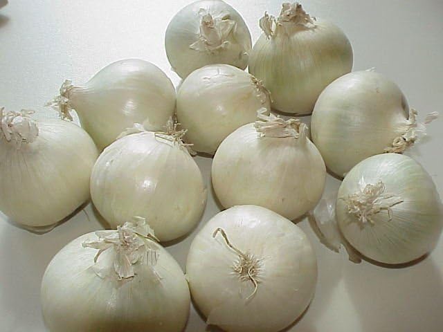 Fresh USA Grown Non-GMO White Onions - 5lb Bulk Wholesale - Perfect for Cooking, Salads & Meal Prep
