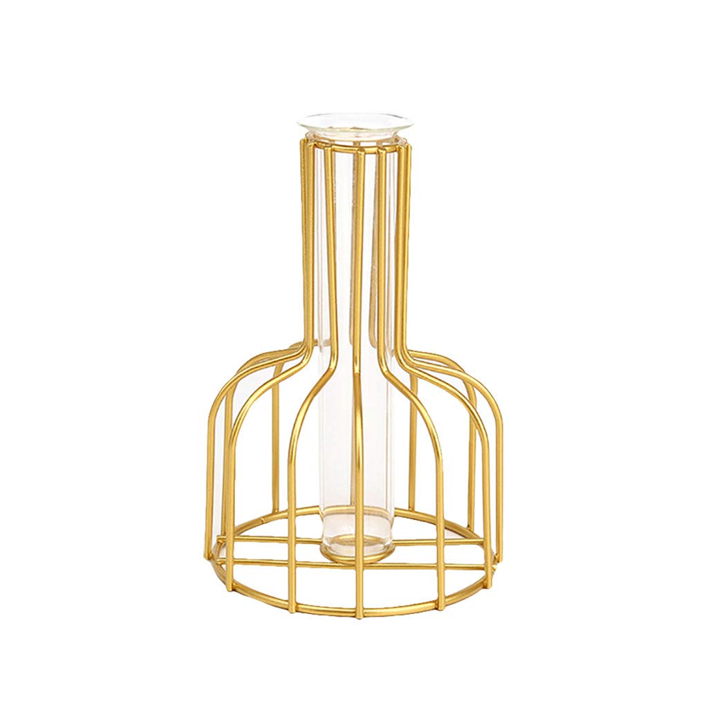 Nordic Wrought Iron Hydroponic Vase - Modern Home Decor for Living Room, Office & Dining Table | Perfect for Plant Lovers, Interior Design & Gift Giving