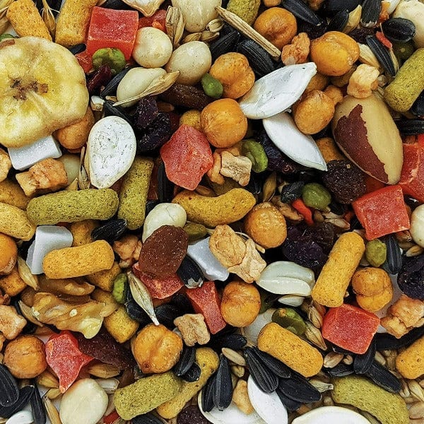 Premium Large Parrot Seed Mix - HARI Gourmet Blend for African Greys, Macaws & Cockatoos - Nutrient-Rich Bird Food for Daily Feeding & Training Treats