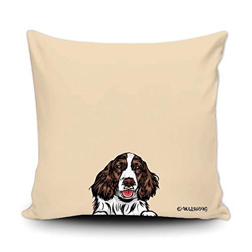 English Springer Spaniel-1-8