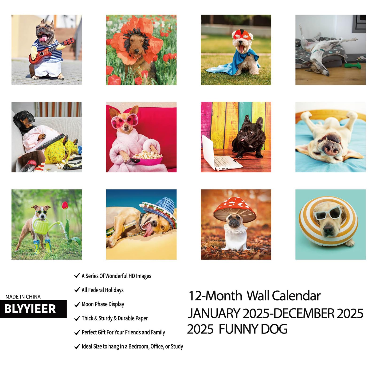 2025 Funny Dogs Wall Calendar - 12