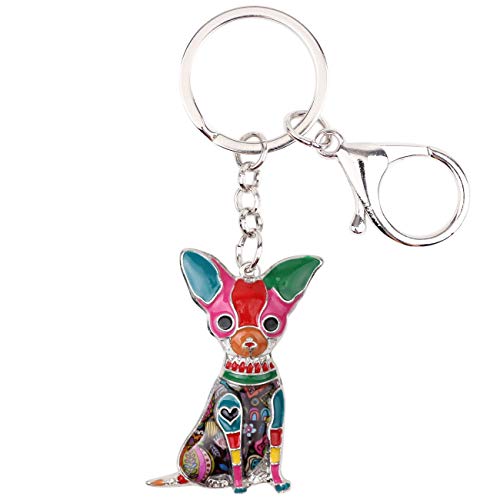 Multicolor Chihuahua