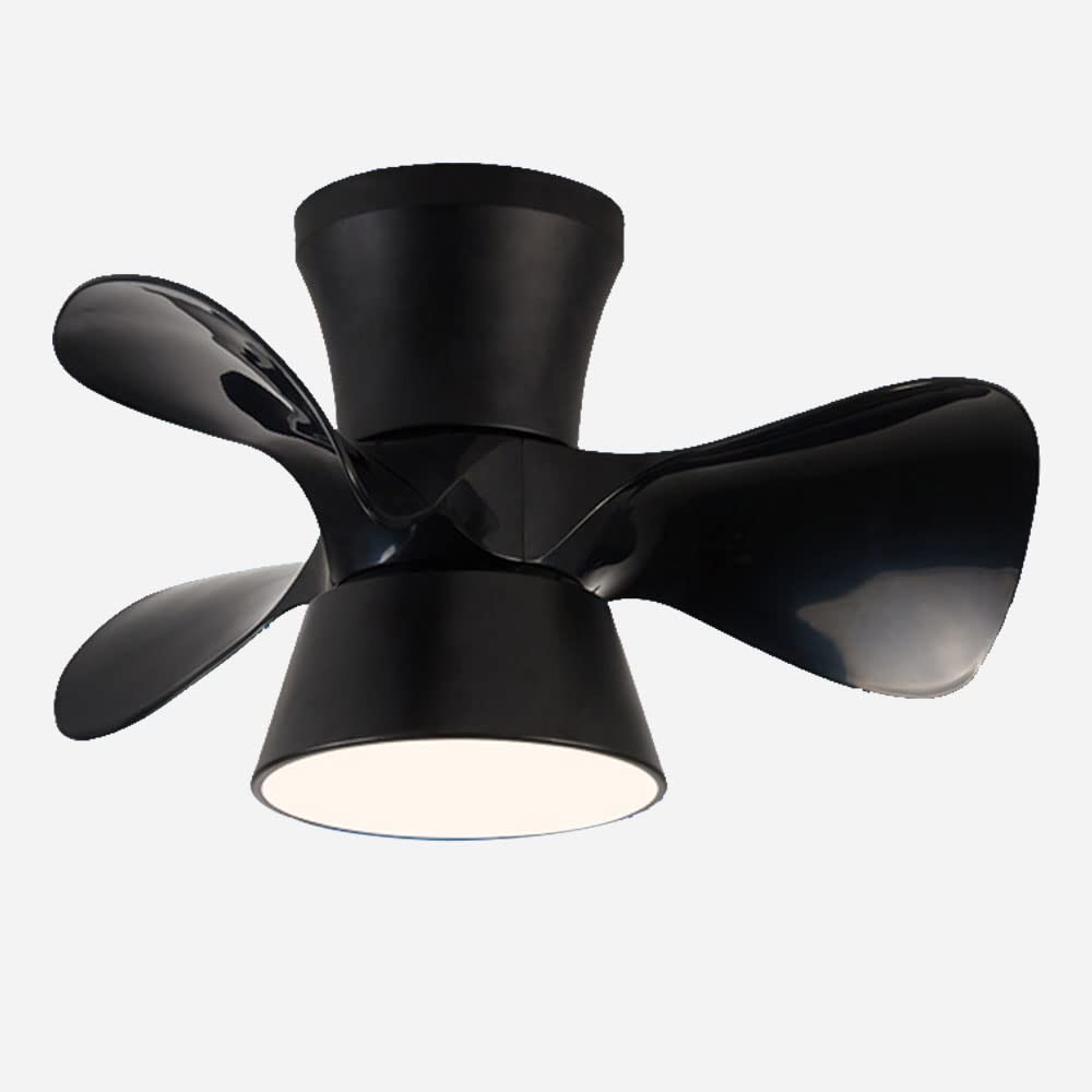iBalody 22 Inch Modern Mini Ceiling Fan with LED Light - 6 Speed Quiet Dimmable 18W Ceiling Fan Light for Living Room, Bedroom, Dining Room - Energy Efficient Indoor Cooling & Lighting Solution