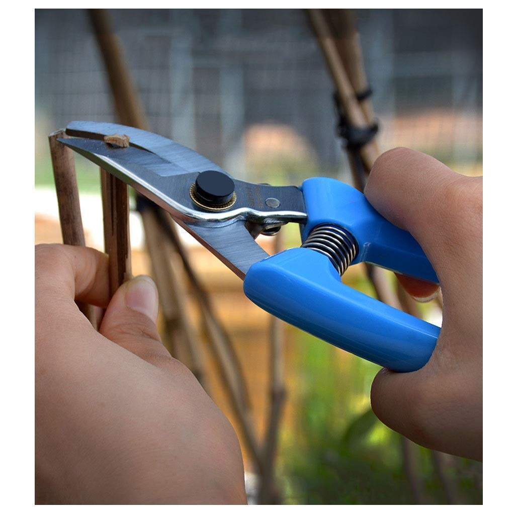 Premium Stainless Steel Bypass Pruning Shears - Sharp Garden Shears for Plants, Flowers & Shrubs - Ergonomic Non-Slip Handles - Ideal for Gardening, Landscaping & Outdoor Trimming