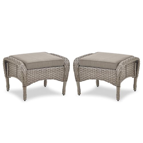 Gray Wicker / Gray Cushion