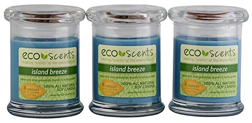 Island Breeze Scented Candles (3 Pack) - 8 oz Soy Wax Candles for Home, Relaxation & Aromatherapy - Perfect for Bedroom, Bathroom & Living Room Decor