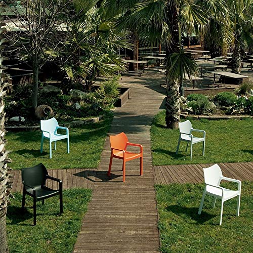 Compamia Diva Resin Outdoor Patio Dining Arm Chair Set of 4 - Tropical Green Weather-Resistant Garden Chairs for Poolside, Backyard, and Restaurant Seating