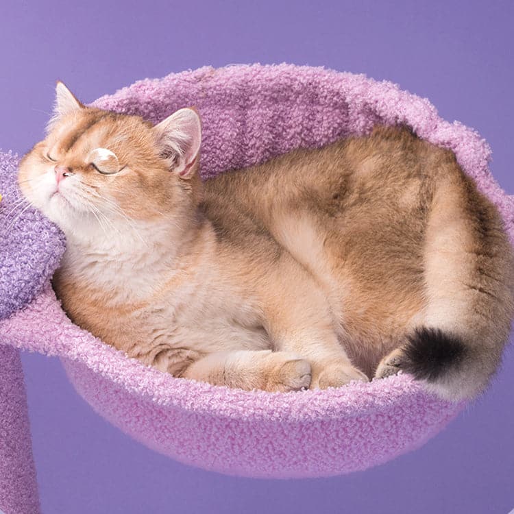 165cm & 150cm Tall Cat Scratching Post with Perches - Purple Dream Cat Tree for Indoor Cats, Large Cat Tower for Climbing, Scratching, Playing and Napping - Perfect for Living Room, Bedroom or Home Office