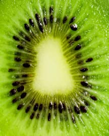 Fruits Kiwi