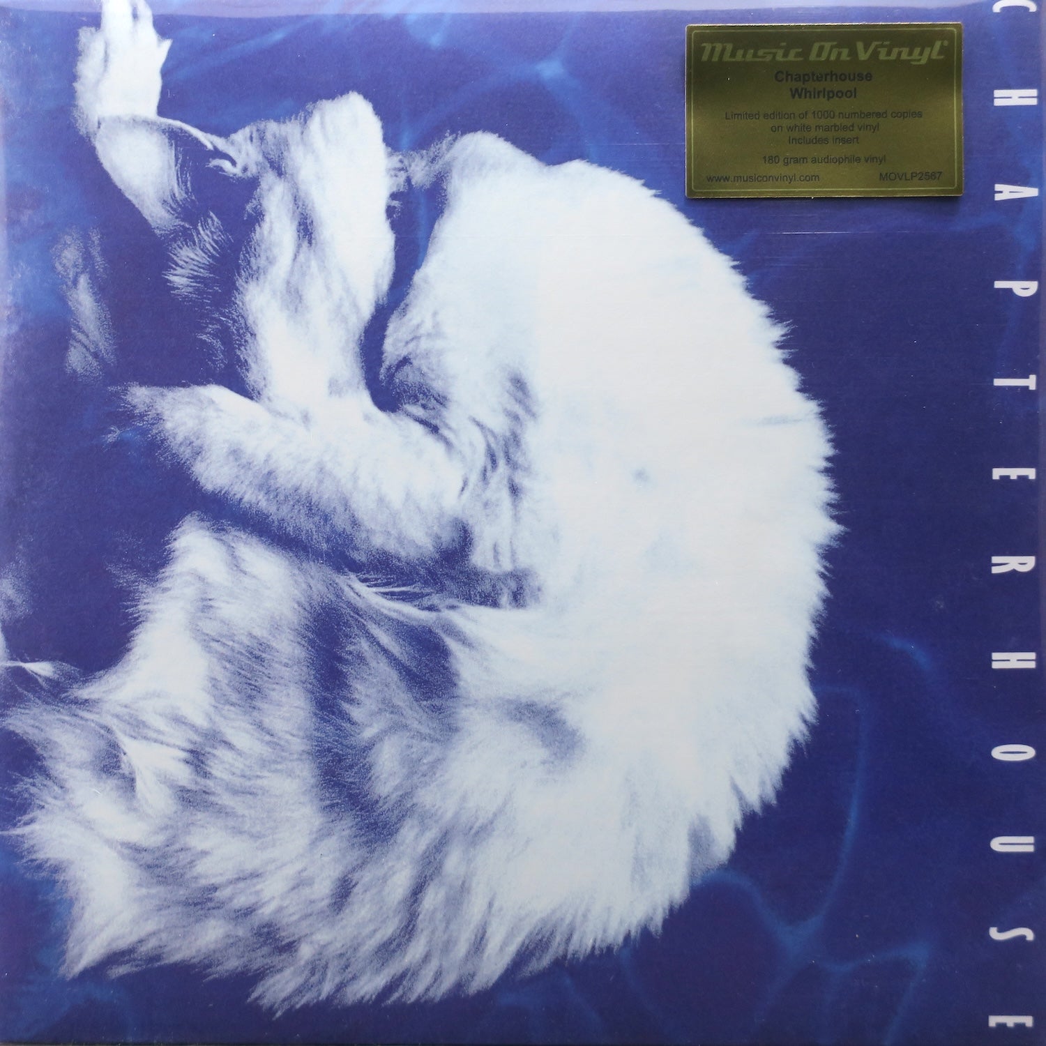 CHAPTERHOUSE 'Whirlpool' 180g MARBLE Vinyl LP (1991 UK Indie/Shoegaze Record) - Perfect for Vinyl Collectors & Shoegaze Music Lovers