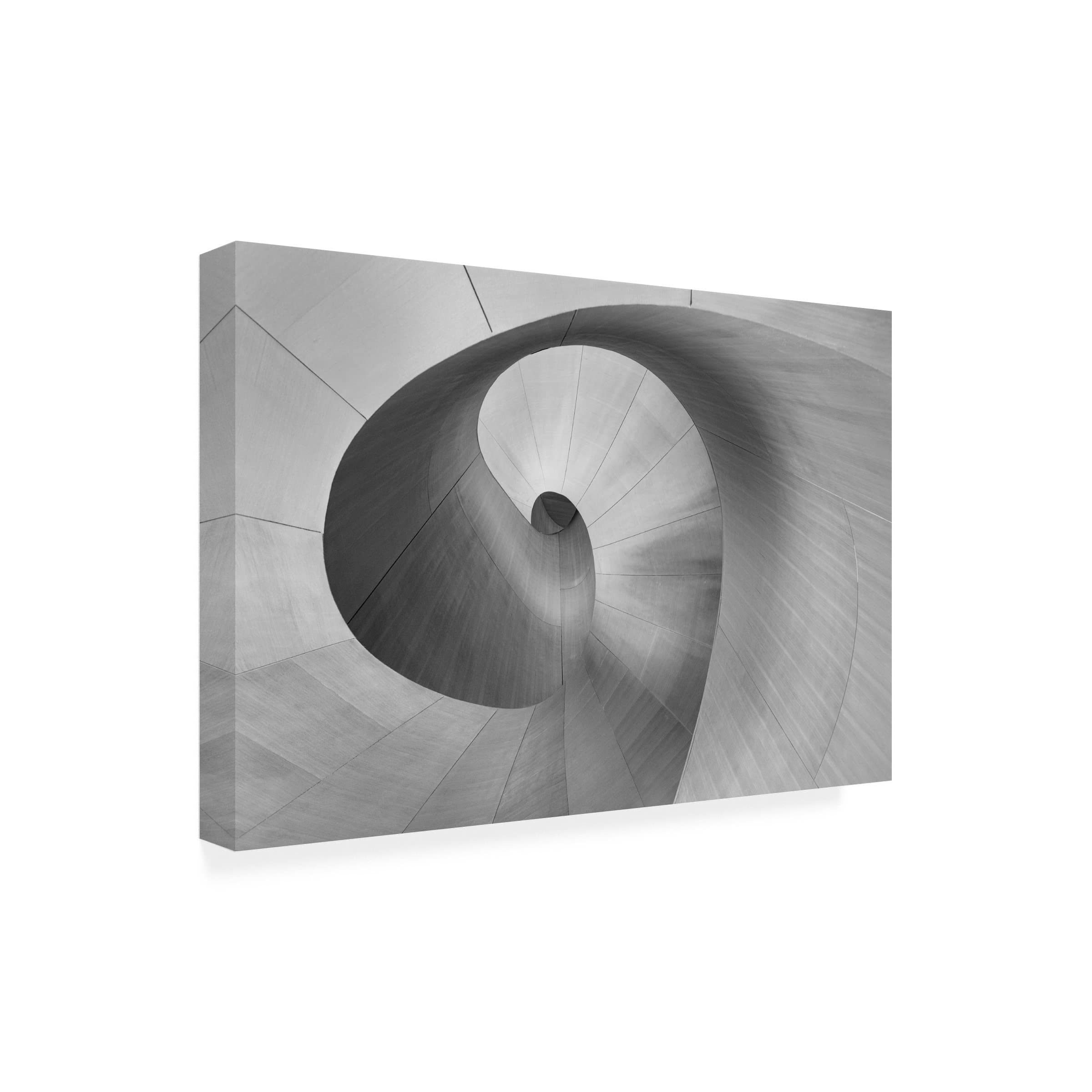 Trademark Fine Art 'Curves' Abstract Canvas Painting by Bo Chen - Modern Wall Art for Living Room, Bedroom & Office Decor
