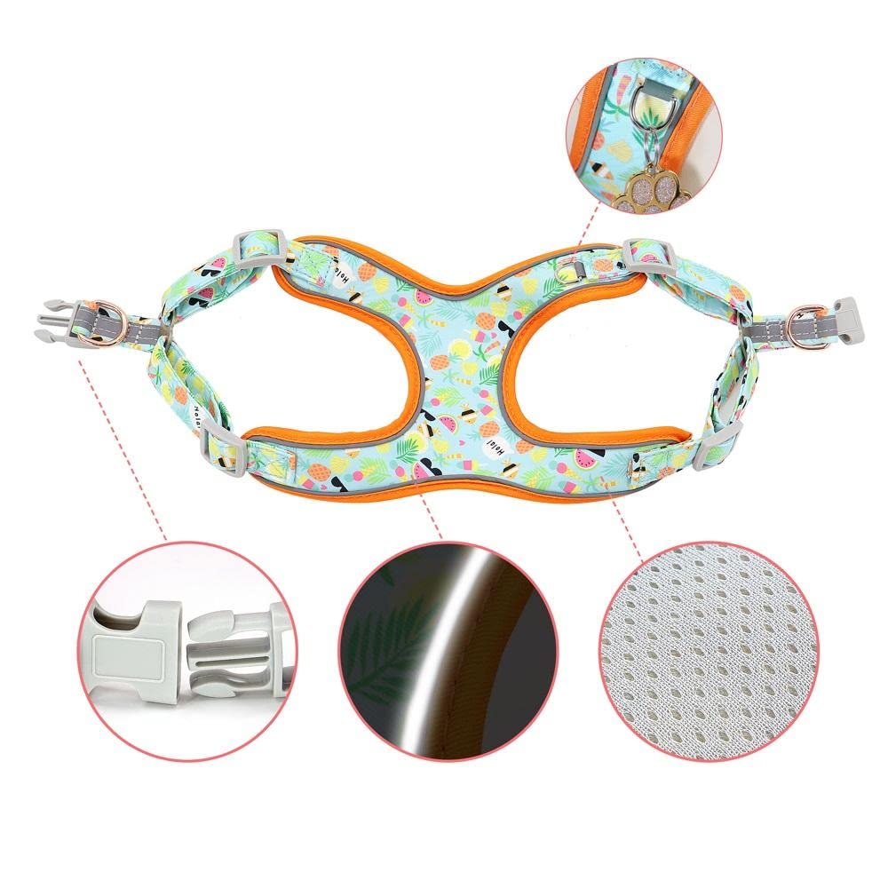 Premium Dog Harness and Leash Set - Adjustable Reflective Pet Collar with Soft Padded Vest for Medium & Large Dogs - Perfect for Walking, Hiking & Outdoor Adventures