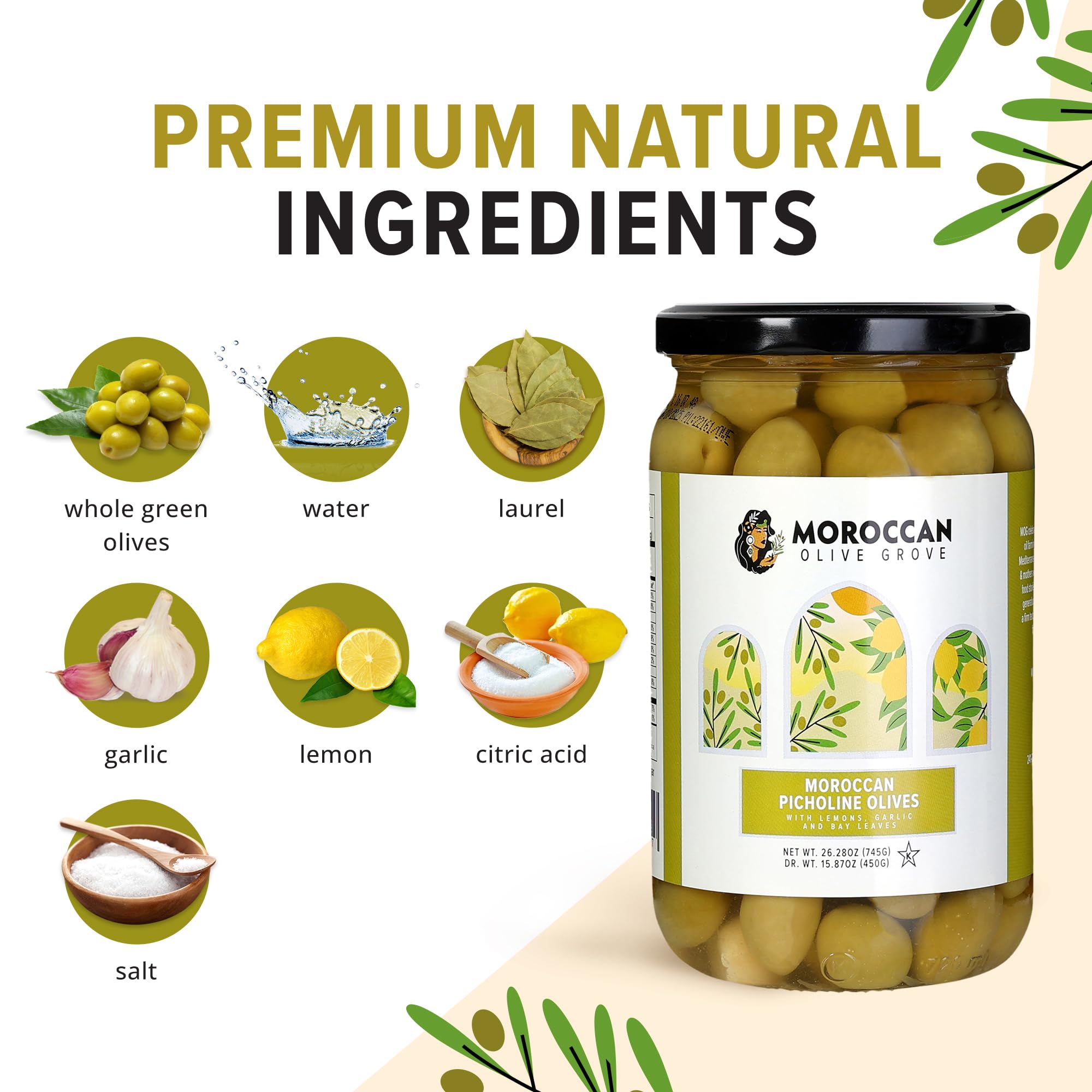 Premium Moroccan Picholine Olives - Authentic Mediterranean Flavor, 1 Pack (16oz) | Perfect for Salads, Charcuterie Boards & Healthy Snacking