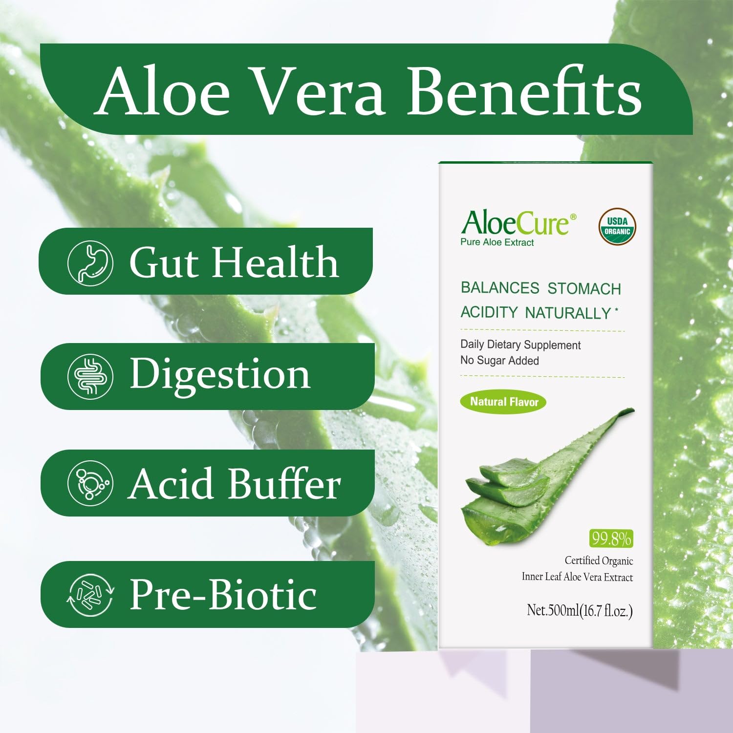 USDA Organic Aloe Vera Juice - Pure Aloe Juice for Digestion, Immune Support & Stomach Health | Harvested Within 12 Hours | 12-Pack 500ml Bottles | Great for Daily Hydration, Detox & Gut Health