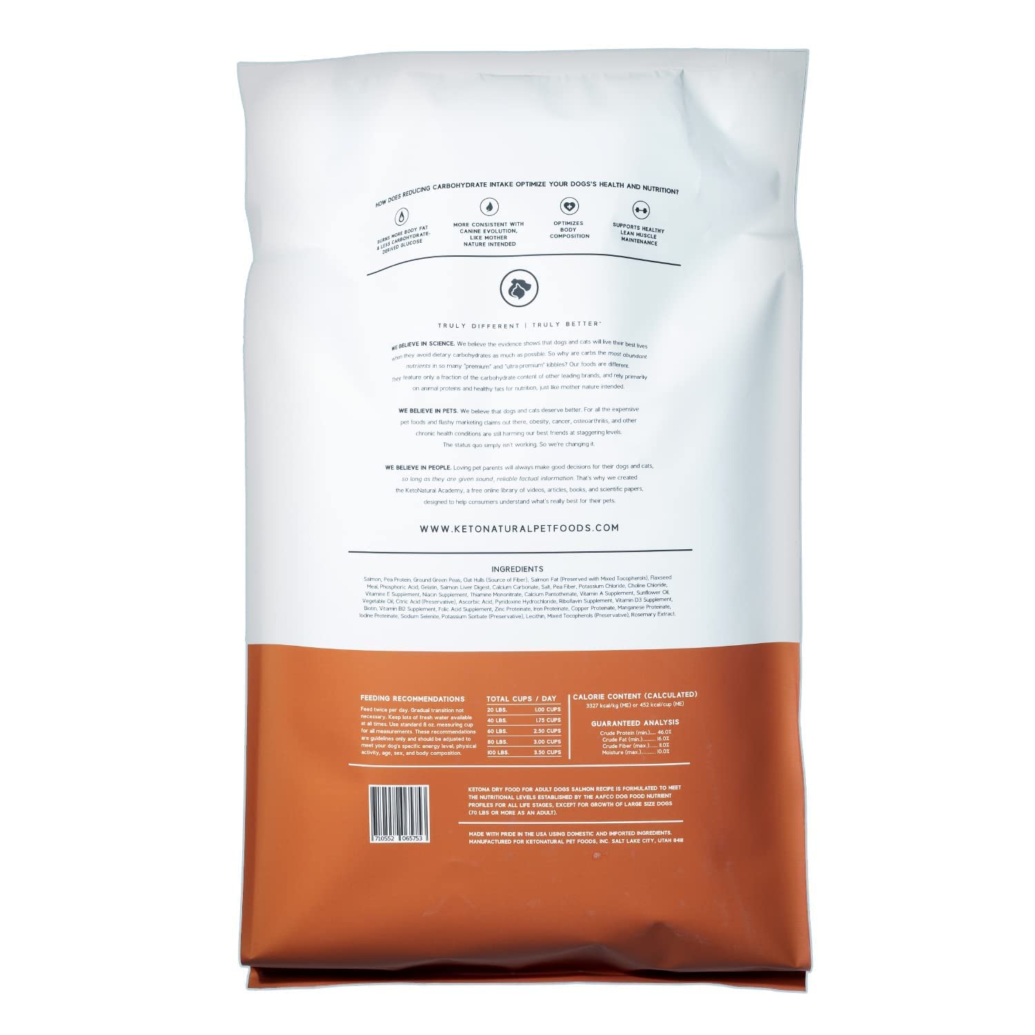 Ketona Salmon Recipe Dry Dog Food (24.2lb) & Chicken Liver Dog Treats Bundle - High Protein Low Carb Dog Food for Weight Management - Raw Diet Nutrition with Kibble Convenience - Perfect for Adult Dogs & Puppies with Sensitive Stomachs