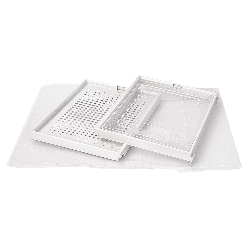 Stackable Clear Shoe Storage Box - Large Interlocking Plastic Shoe Organizer with Lid (White/Transparent) | Perfect for Closet Organization & Sneaker Collection Display