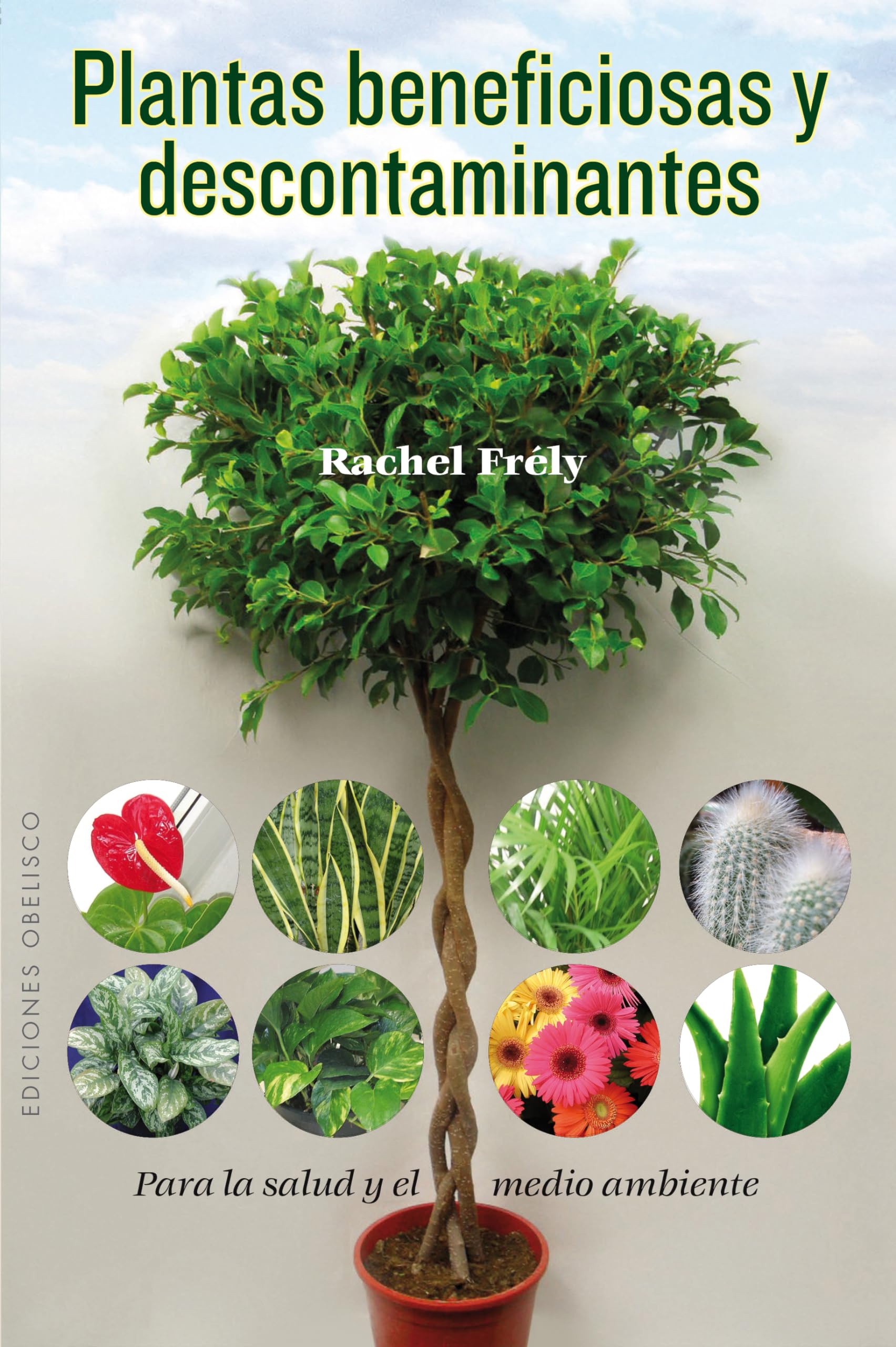 Beneficial and Air-Purifying Plants - Natural Health & Wellness Collection (Spanish Edition) | Improve Indoor Air Quality & Enhance Home Decor