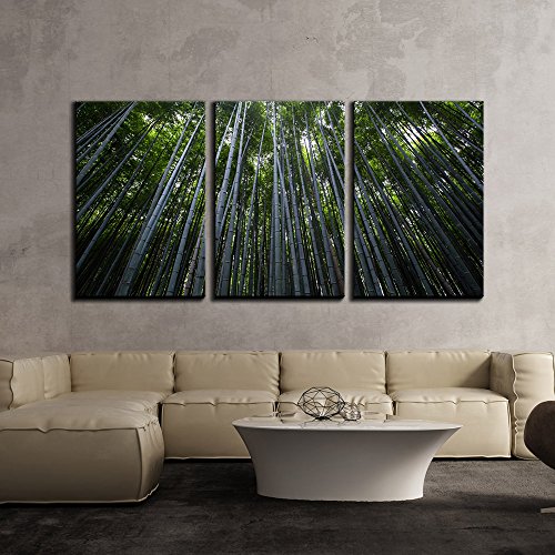 Artwork - 13