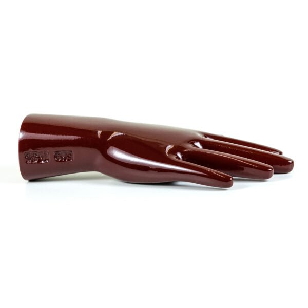Hand & Wrist Phantom for Medical Training - Anatomically Accurate Natural Position Model for Ultrasound, MRI & CT Scan Practice - Perfect for Radiology Students & Healthcare Professionals