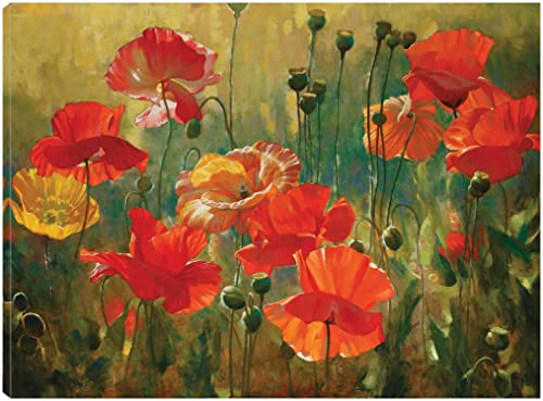 Poppy Fields