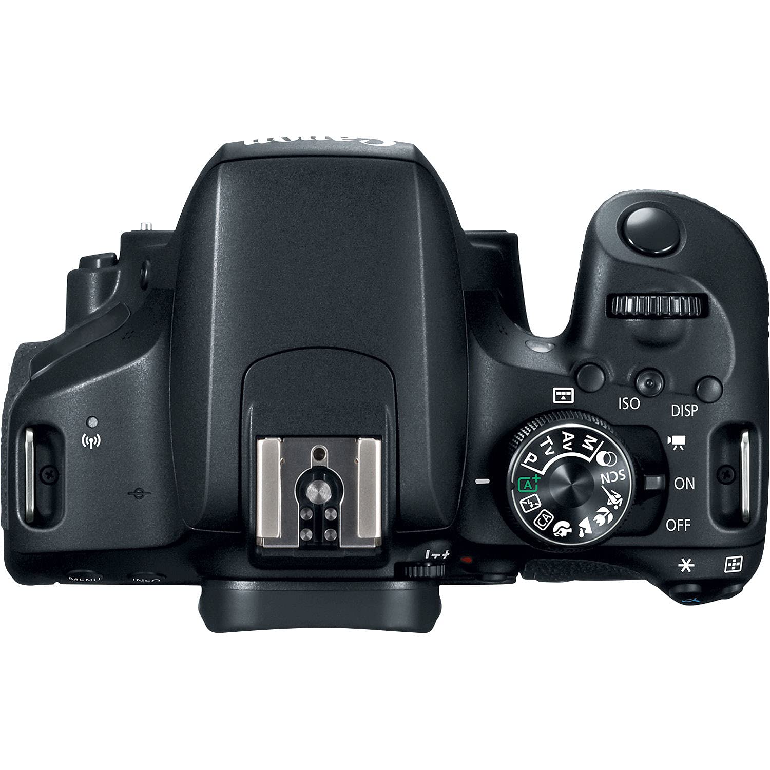 Canon EOS Rebel 800D / T7i DSLR Camera Body Only - 24.2MP APS-C Sensor, DIGIC 7 Processor, 64GB SD Card, 2 Batteries, Tripod & Photography Bundle (Renewed) - Perfect for Travel, Portrait & Landscape Photography