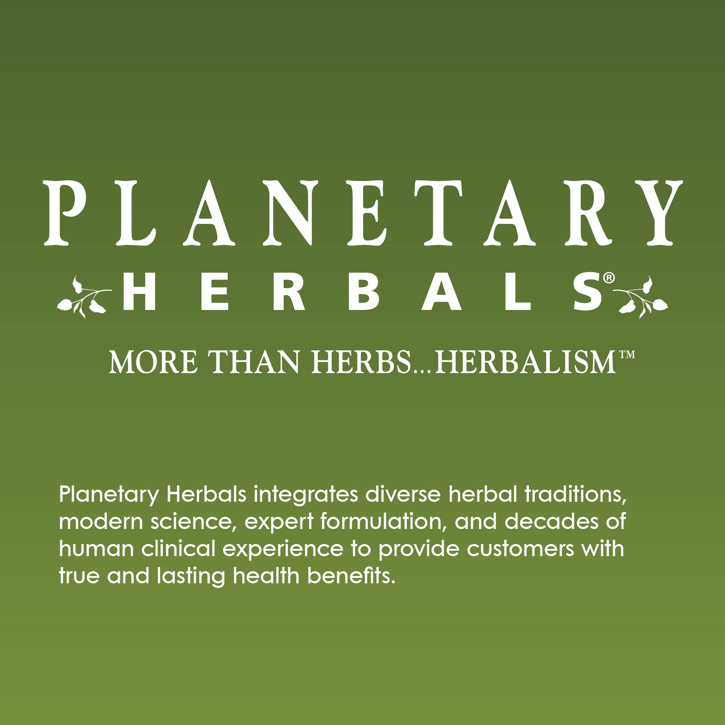 Planetary Herbals Triphala Internal Cleanser Powder - 6 oz | Ayurvedic Digestive Support & Detox | Perfect for Daily Wellness & Gut Health Routine