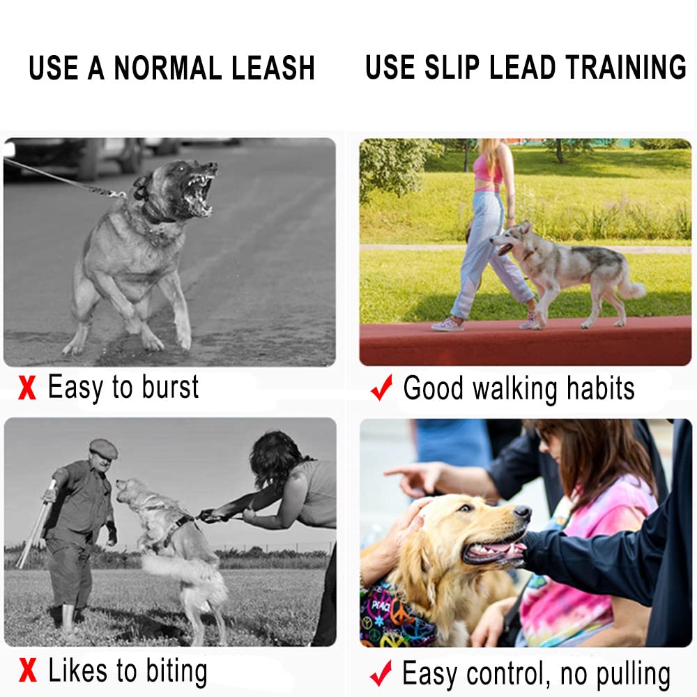 3FT Slip Lead Dog Training Leash - No Pull Pet Leash for Medium & Large Dogs - Durable 1/2 Inch Nylon Rope Slip Collar (3FT x 1/2