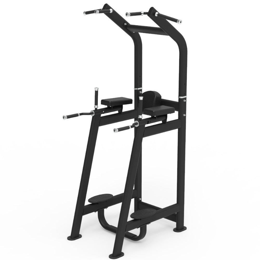 Pegasus 2S 2-in-1 Vertical Knee Raise and Chin Up Bar - Home Gym Equipment for Full Body Workout & Strength Training | Perfect for Home Fitness, Garage Gym & Cross Training