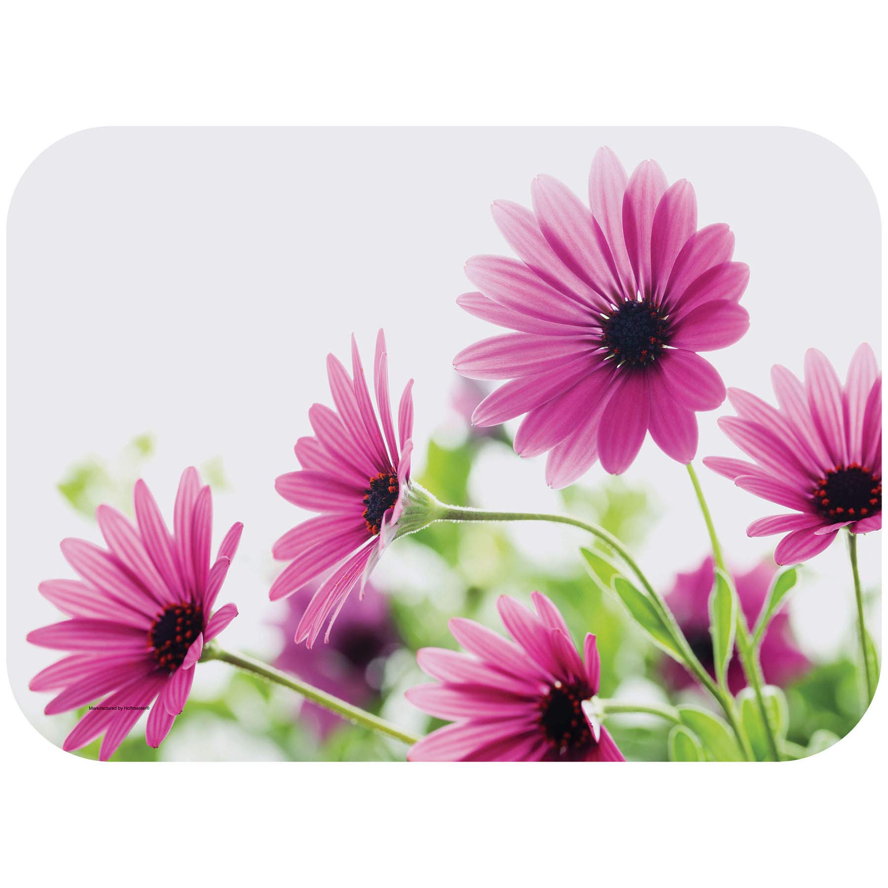 Hoffmaster 832775 Bright Daisy Printed Paper Placemats - 13.5