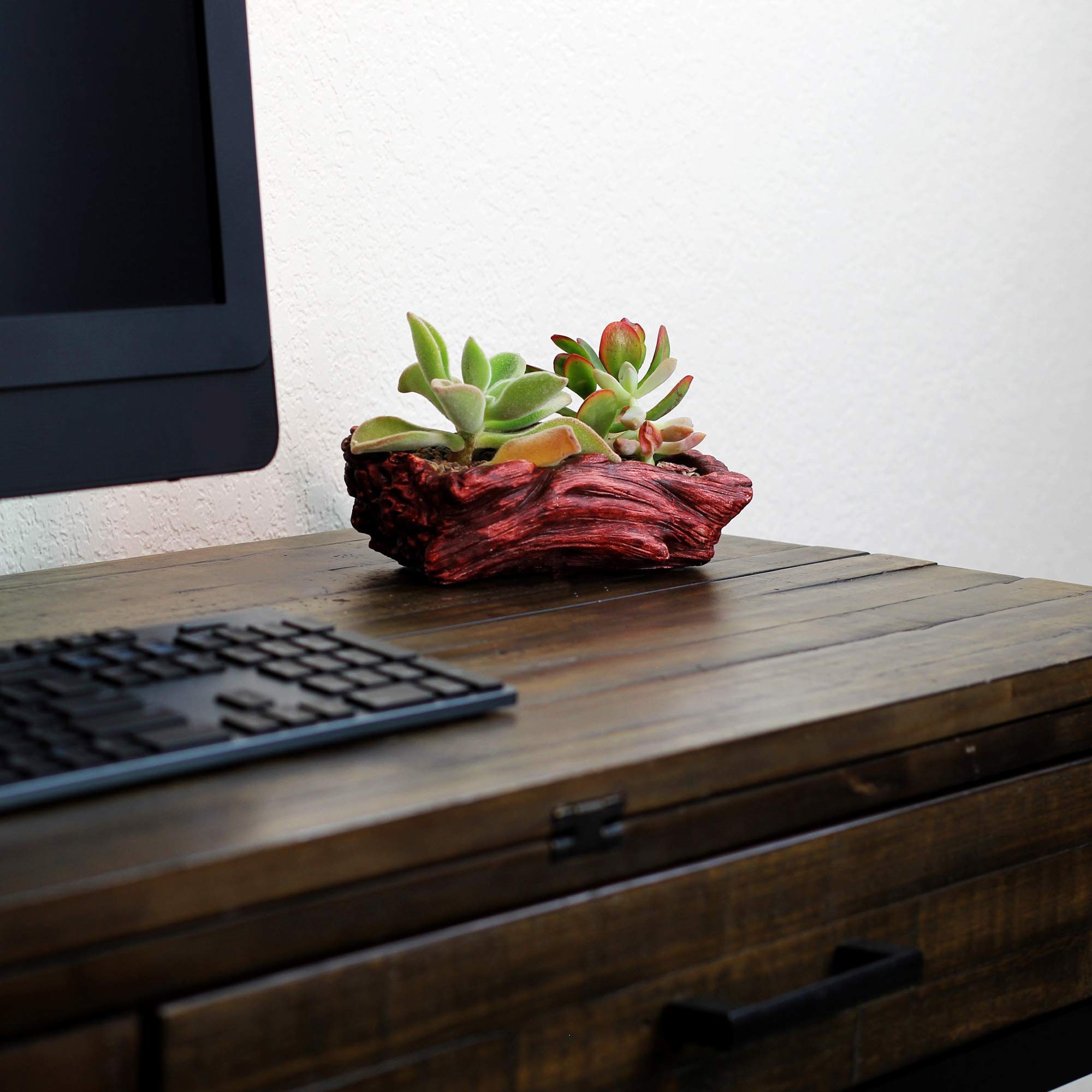 Ceramic Wood Plant Pot - Indoor Wood Planter for Succulents & Small Plants | Unique Log Planter with Redwood Whale Design | Perfect for Home Decor, Office Desk & Gift Giving