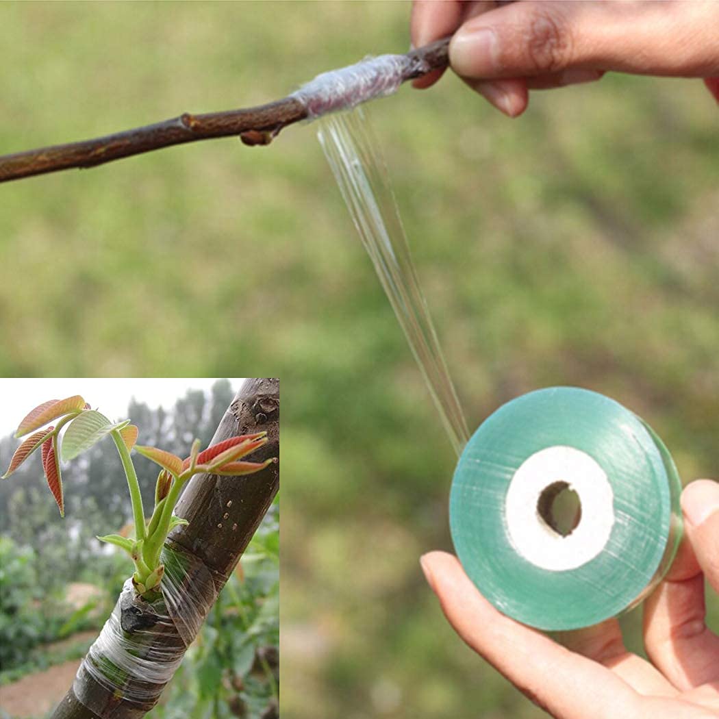 Hilitand PVC Stretchable Grafting Tape for Fruit Trees - 3CM x 100M Roll | Waterproof Garden Grafting Tool for Branch Protection | Ideal for Apple, Peach, Citrus & Ornamental Tree Grafting Projects