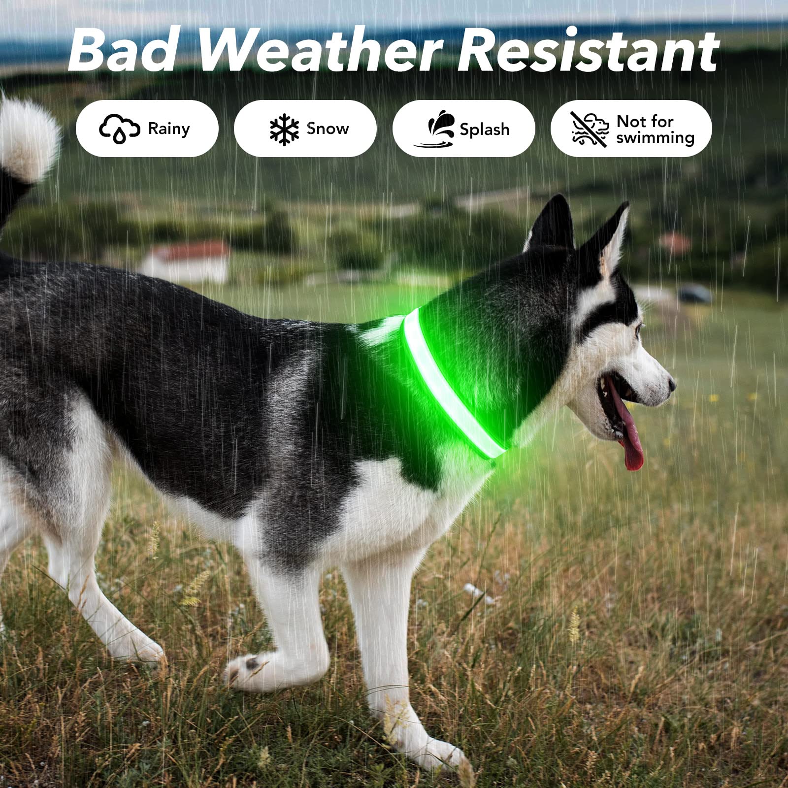 Visinite Rechargeable LED Dog Collar - Waterproof, Reflective Safety Collar with 3 Flashing Modes for Medium & Large Dogs | Green Glow Light for Night Walking, Jogging & Outdoor Adventures