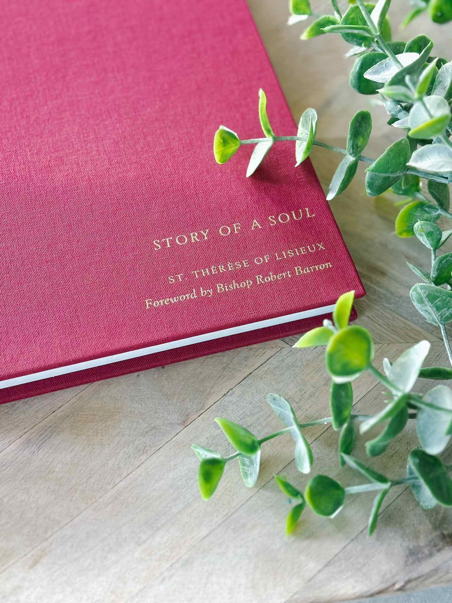 Story of a Soul Book 1 - Inspirational Spiritual Reading for Personal Growth & Meditation | Perfect for Daily Devotion & Book Club Discussions