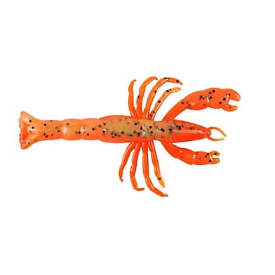 Orange Belly