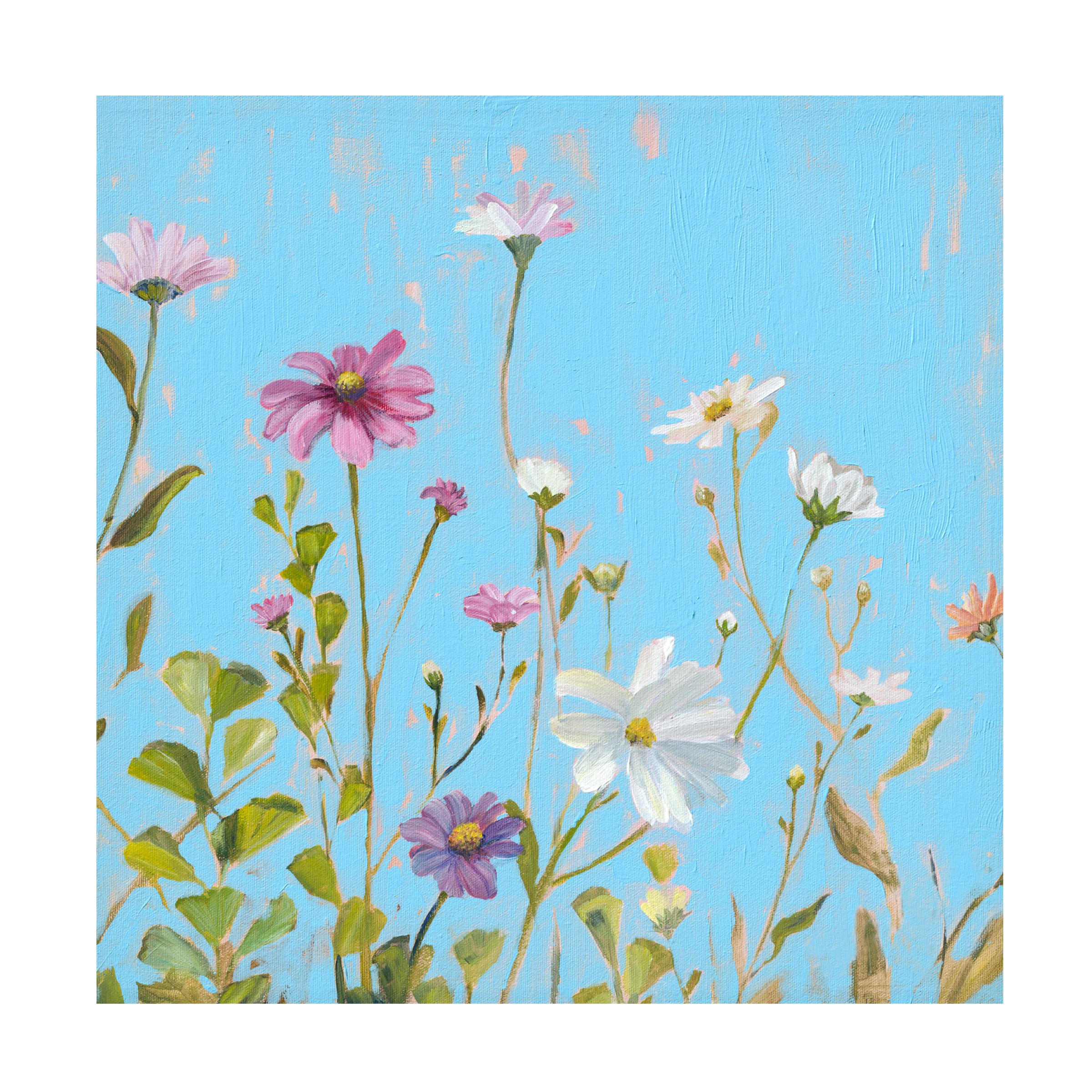Sandra Iafrate 'Wild Flowers on Cerulean II' Canvas Wall Art Print - Modern Floral Home Decor for Living Room, Bedroom & Office