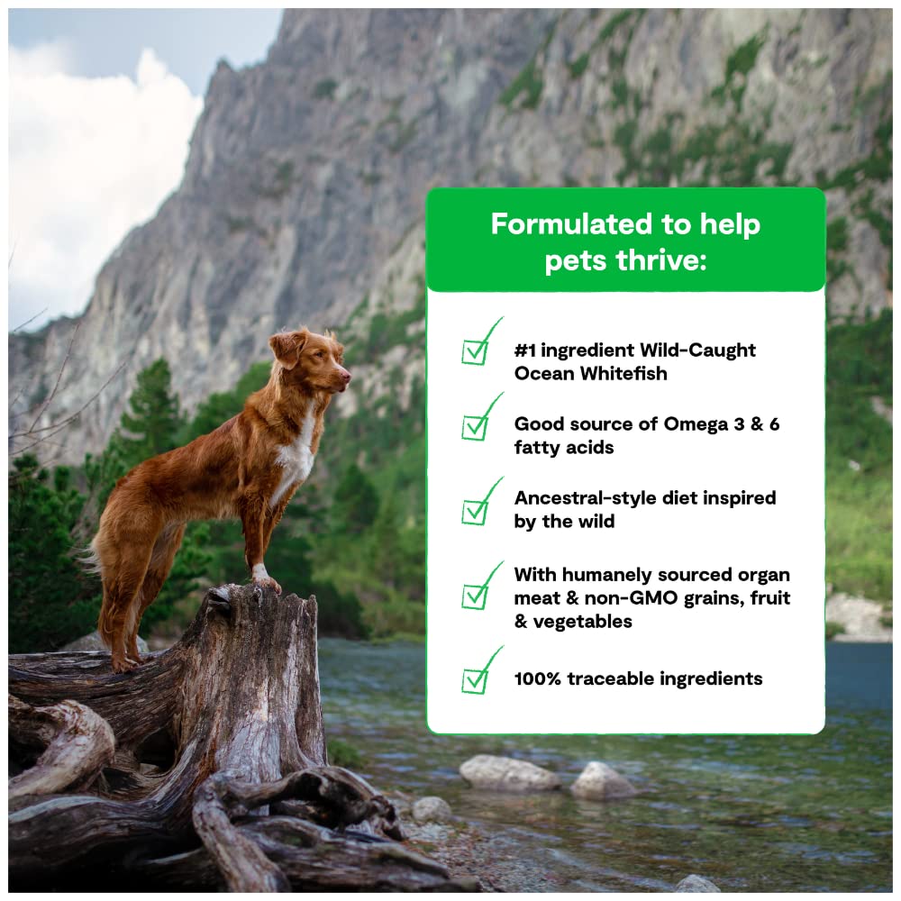 Open Farm RawMix Dry Dog Food with Ancient Grains - High Protein Kibble Coated in Bone Broth & Freeze-Dried Raw Chunks, Salmon Whitefish & Rockfish Wild Ocean Recipe - 20lb Bag for Large & Active Dogs - Perfect for Training, Outdoor Adventures & Daily Nutrition