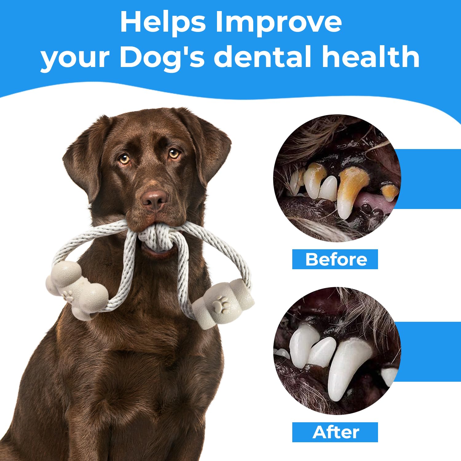 **Sturdy Small Dog Rope Toys - 14-Pack Non-Toxic Cotton Chew Toys for Puppies & Medium Dogs - Interactive Teething & Anxiety Relief - Durable for Indoor & Outdoor Play**