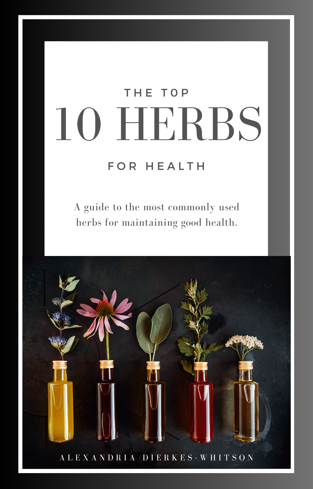 Top 10 Medicinal Herbs for Natural Health - Complete Guide eBook | Boost Immunity, Improve Digestion & Reduce Stress | Perfect for Home Remedies, Wellness Enthusiasts & Herbal Beginners