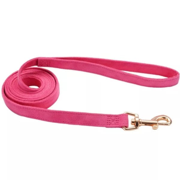 Premium Coastal Accent Microfiber Dog Leash - Soft, Durable & Stylish for Small to Medium Dogs | Perfect for Beach Walks, Park Adventures & Outdoor Activities