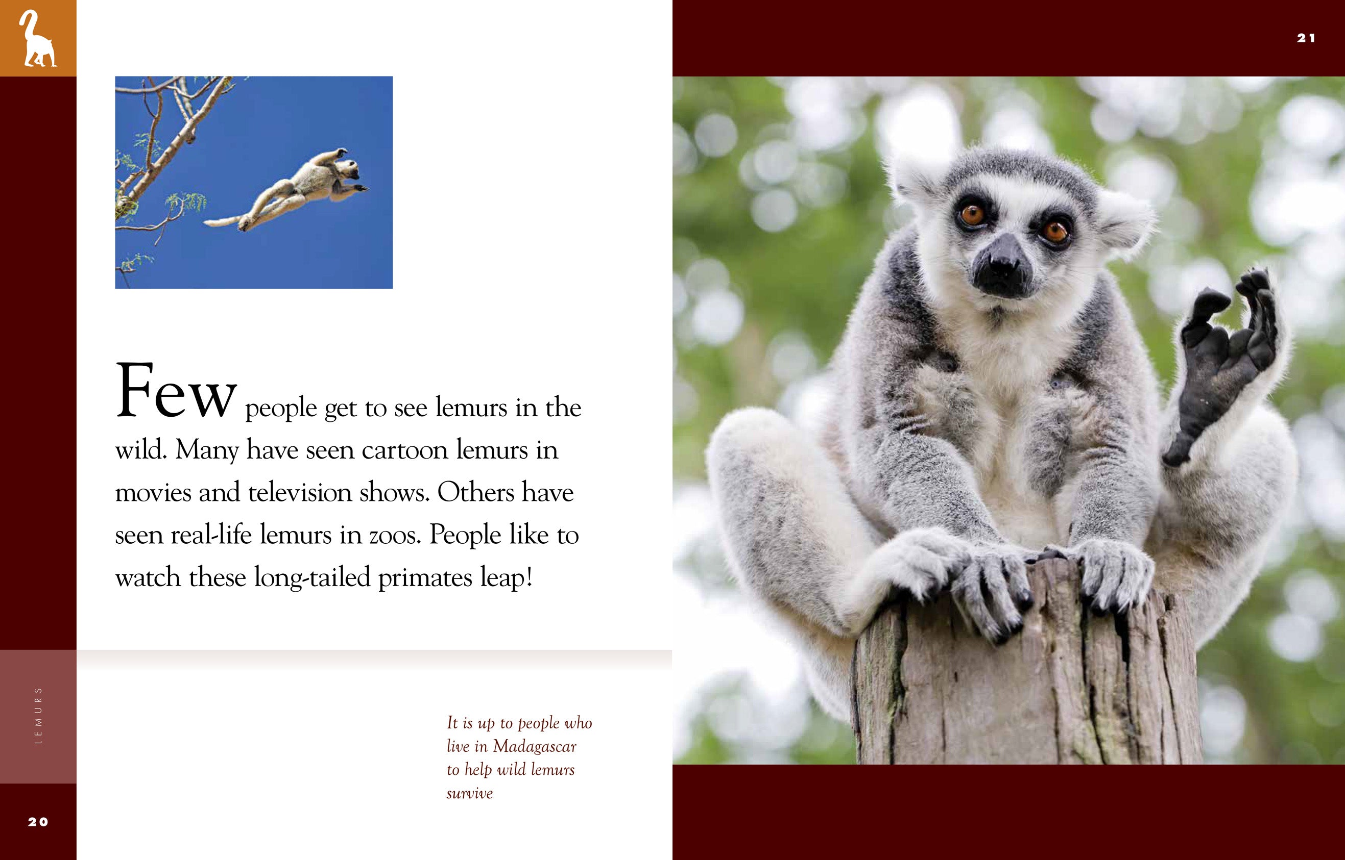 Amazing Animals (2014) - Lemurs Documentary | Wildlife Nature Film | Perfect for Animal Lovers & Classroom Education