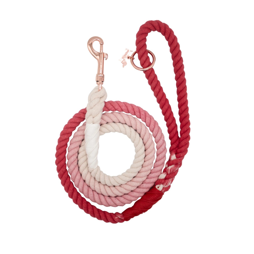 Durable Dog Rope Leash for Large & Small Dogs - Strong Nylon Training Lead with Comfortable Handle - Perfect for Walking, Running & Outdoor Adventures