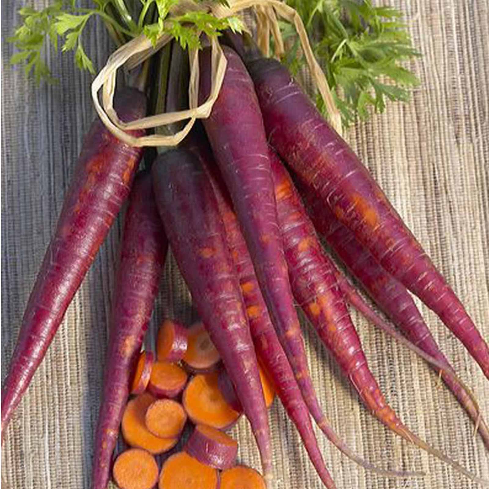 Purple Carrot Garden Seeds - 1g Pack ~600 Seeds - Heirloom Non-GMO Vegetable Seeds for Home Gardening, Microgreens & Organic Farming - Perfect for Raised Beds, Containers & Indoor Hydroponic Systems